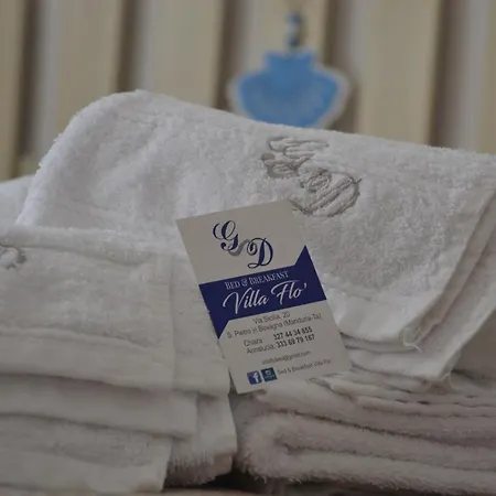VILLA FLO' B&B (San Pietro in Bevagna)-3